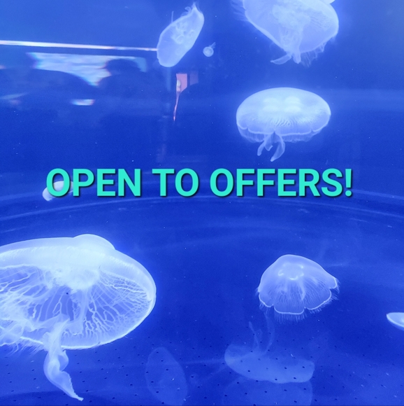 Open to Offers - Picture 1 of 1
